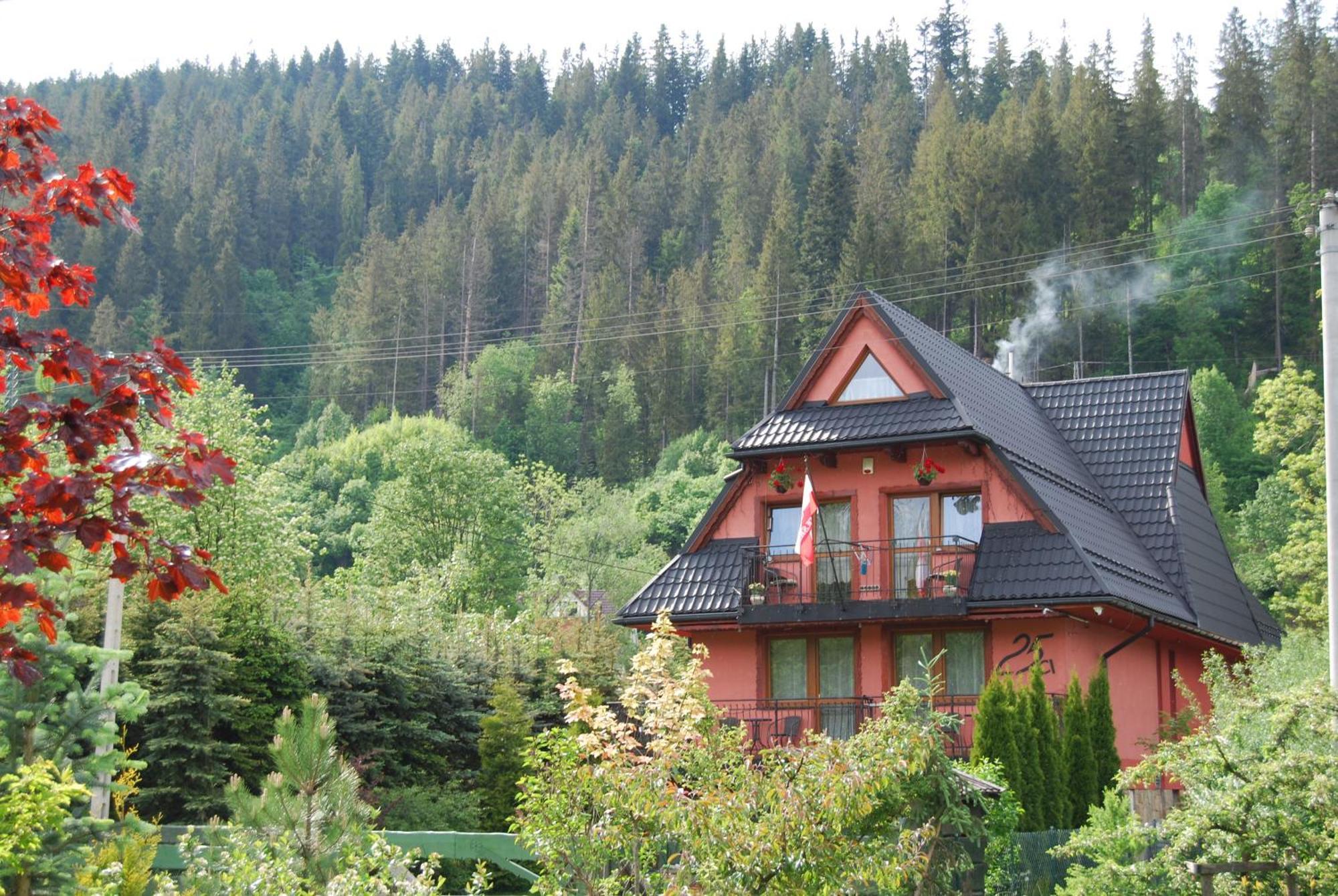 Willa Pod Bandera Zakopane Eksteriør billede
