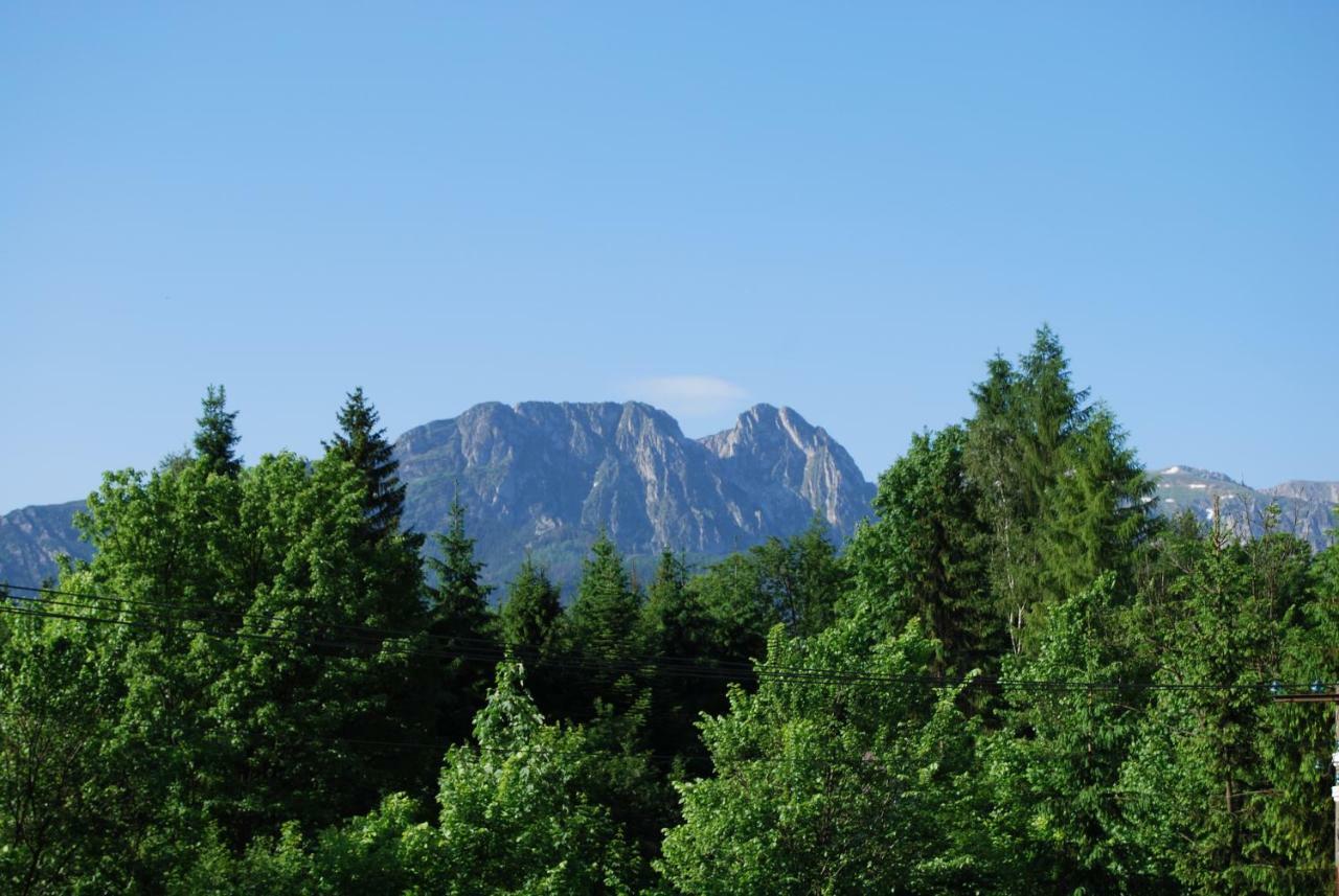 Willa Pod Bandera Zakopane Eksteriør billede